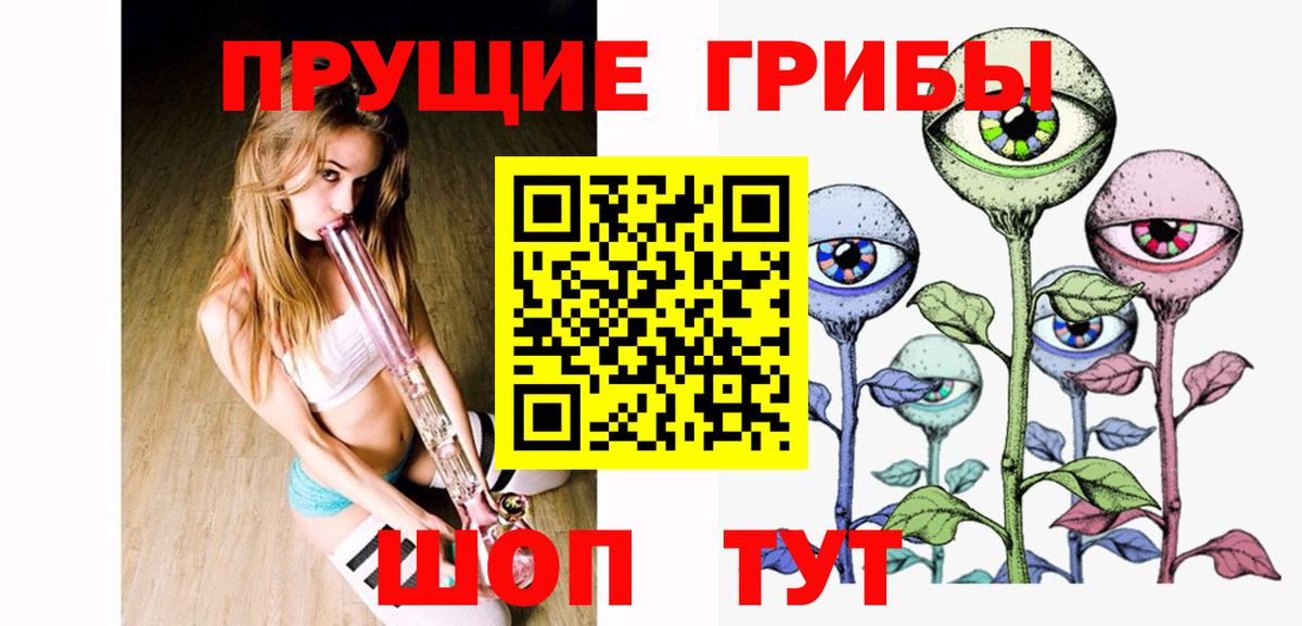 Галлюциногенные грибы Psilocybe Краснодар