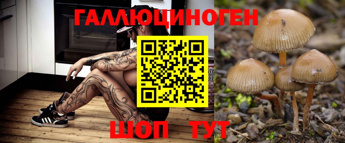 Галлюциногенные грибы MAGIC MUSHROOMS  Вход с VPN  наркотики  Краснодар 