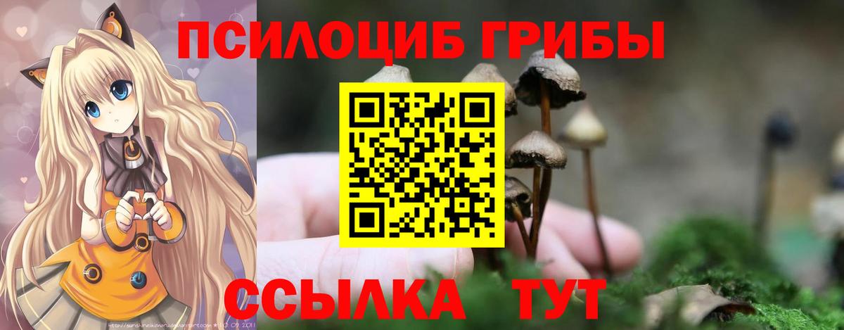 Мефедрон   Краснодар  Вход с VPN  Меф  МЕТ  Марихуана  Cocaine  НБОМе  ГАШИШ  ГЕРОИН 