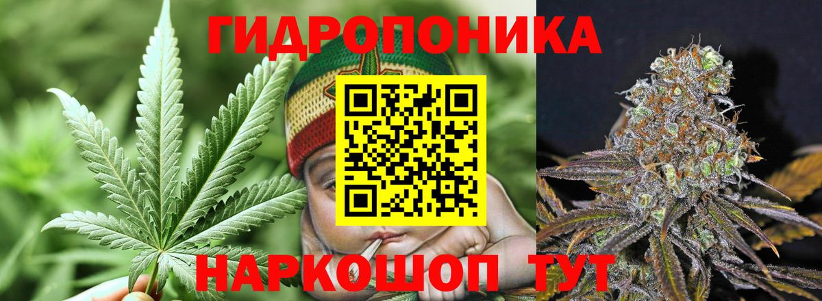 Марихуана White Widow  Марихуана семена  Вход с VPN  Марихуана гибрид  Краснодар 